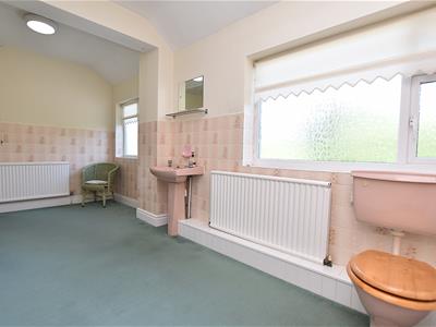Picture 19